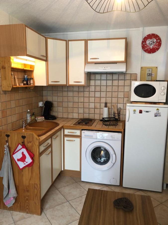 Appartement Rez De Jardin Montee De L'Alpe D'Huez La Garde  Екстериор снимка