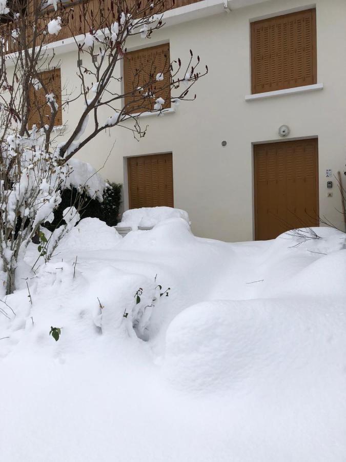 Appartement Rez De Jardin Montee De L'Alpe D'Huez La Garde  Екстериор снимка