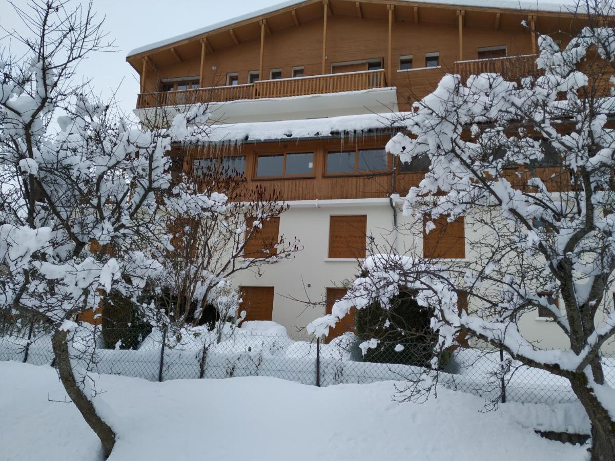 Appartement Rez De Jardin Montee De L'Alpe D'Huez La Garde  Екстериор снимка